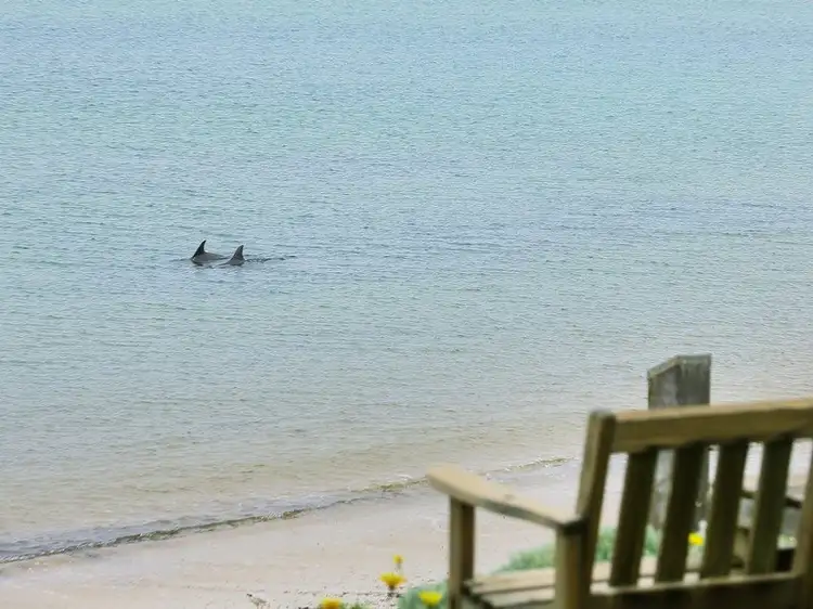 Sixth view of Homely land listing, 179 Balnarring Beach Rd, Balnarring Beach VIC 3926