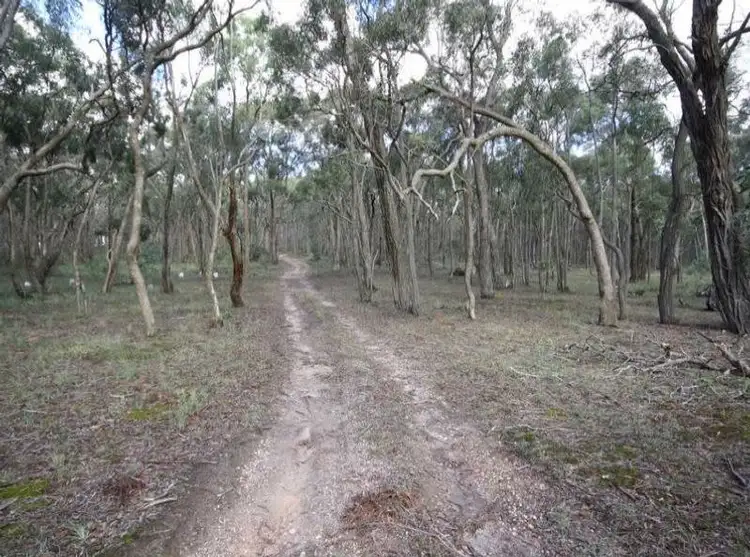 Main view of Homely rural property listing, 75 Rifle Butts Road, Beaufort VIC 3373