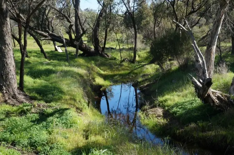 Main view of Homely land listing, 30 Carter Road, York WA 6302