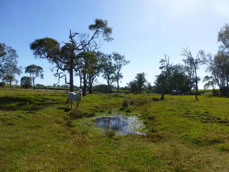 Second view of Homely rural property listing, 123 CONLONS ROAD, Horton QLD 4660