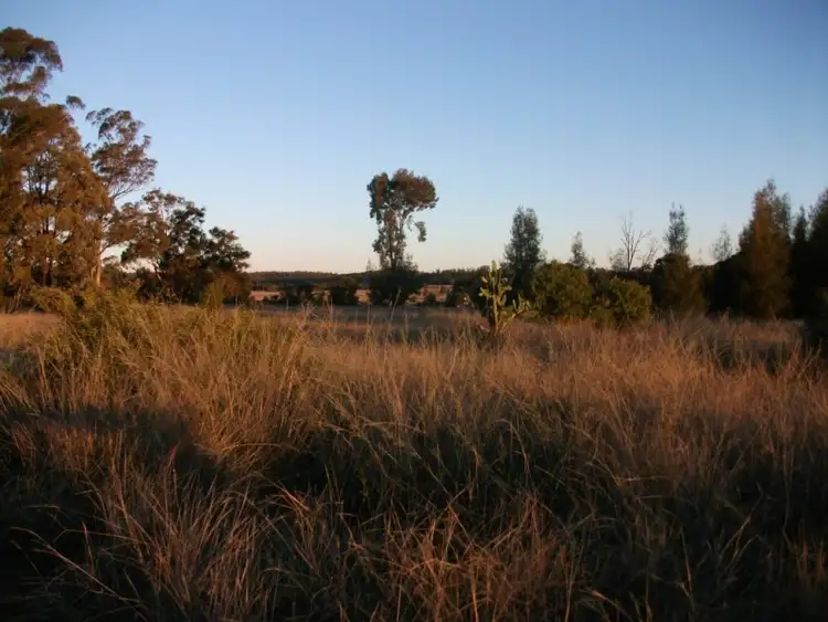 Fifth view of Homely rural property listing, 226 Wambianna Rd, Wyaga QLD 4390