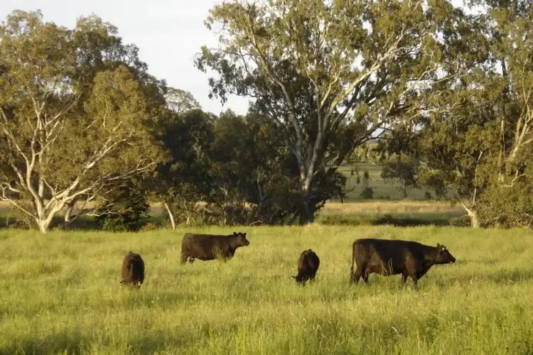 30 North Creek Road, Merton VIC 3715