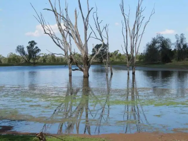 Third view of Homely land listing, Lot 11 Chudleigh Drive, Emerald QLD 4720