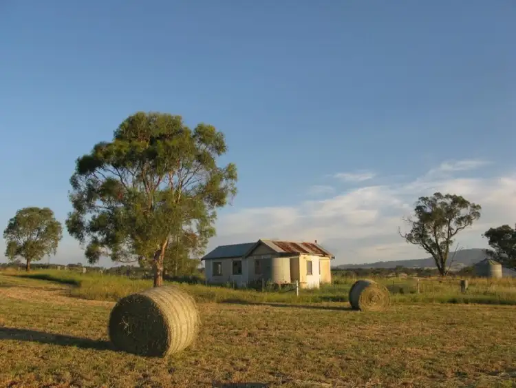 Third view of Homely rural property listing, 1549 The Escort Way, Orange NSW 2800