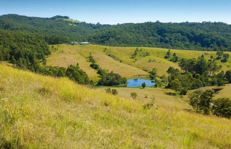 Second view of Homely rural property listing, 937 Flat Tops Road, Dungog NSW 2420