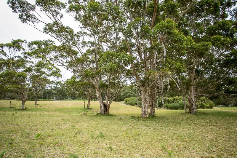 Main view of Homely land listing, LOT 3 Currinup Road, Torbay WA 6330