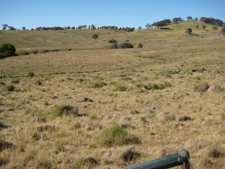 Fifth view of Homely rural property listing, 1641 Sapphire Road, Biala NSW 2581