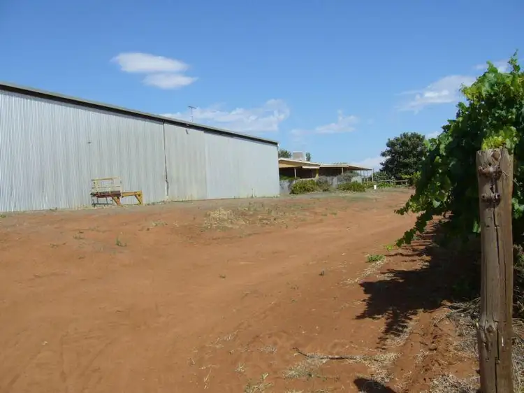 Fourth view of Homely rural property listing, 3030 Murray Valley Highway, Robinvale VIC 3549