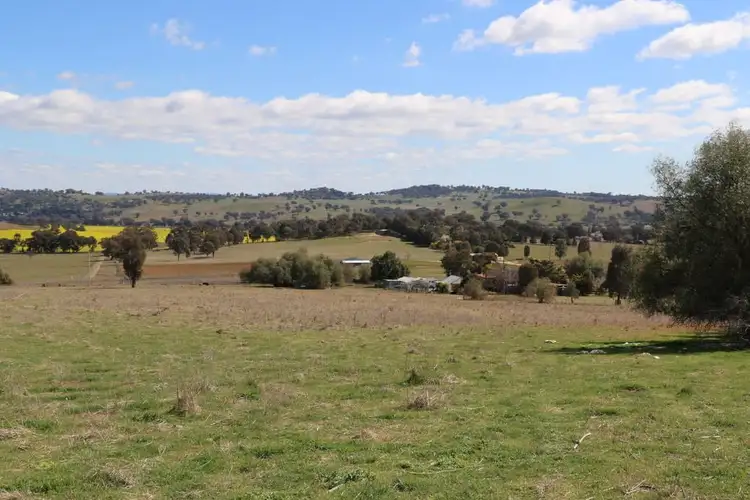 Main view of Homely rural property listing, 170 Kangaroo Flat Road, Cowra NSW 2794
