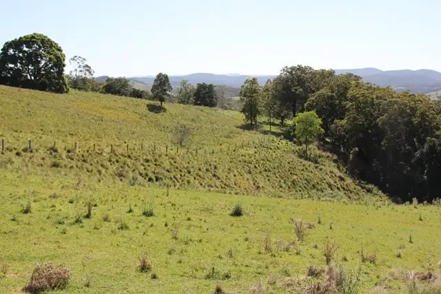 Sixth view of Homely land listing, 103 Brewers Road, Dungog NSW 2420