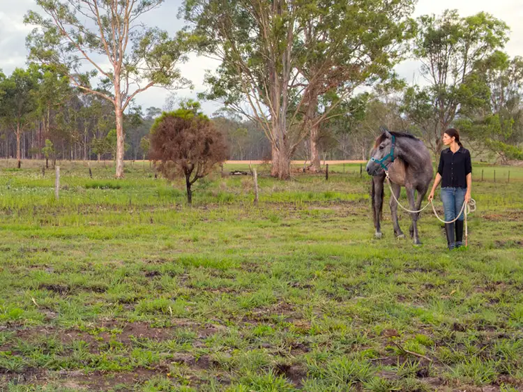Second view of Homely land listing, 111 Evergreen Drive, Stockleigh QLD 4280