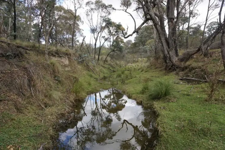 Fourth view of Homely land listing, 308 Widgiewa Rd, Carwoola NSW 2620