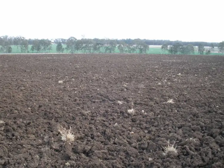 Second view of Homely rural property listing, Lot 491 Rackemann Road, Wooroolin QLD 4608