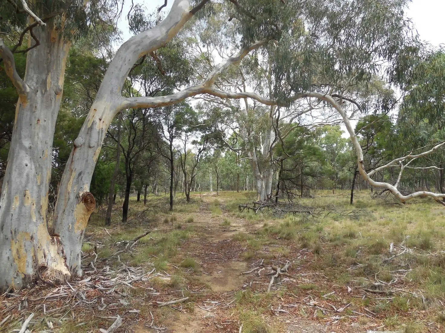 Main view of Homely land listing, 561 Mount Baw Baw Road, Goulburn NSW 2580