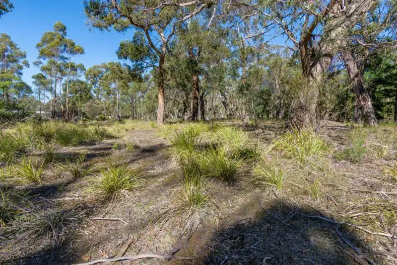 Main view of Homely rural property listing, 27 Progress Road, Dereel VIC 3352