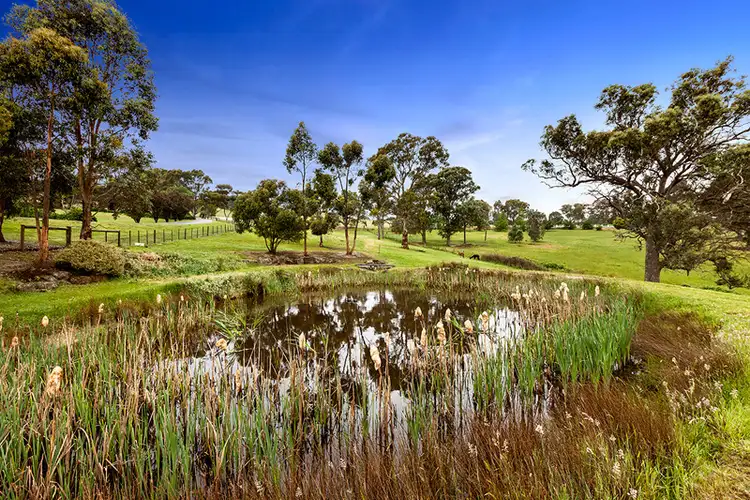 Fifth view of Homely house listing, 8 Joslyn Drive, Research VIC 3095