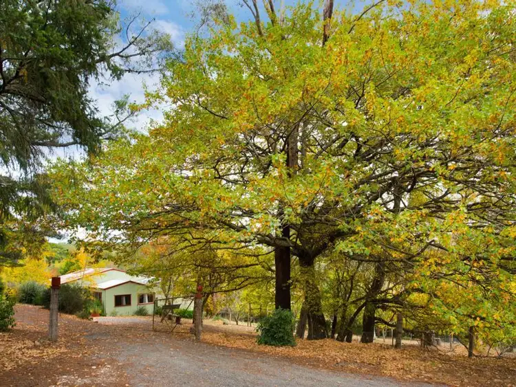 24 Patterson Street, Daylesford VIC 3460