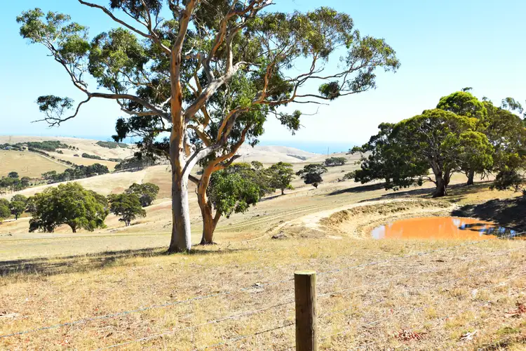 Fourth view of Homely land listing, LOT 19 Forest Rd, Delamere SA 5204
