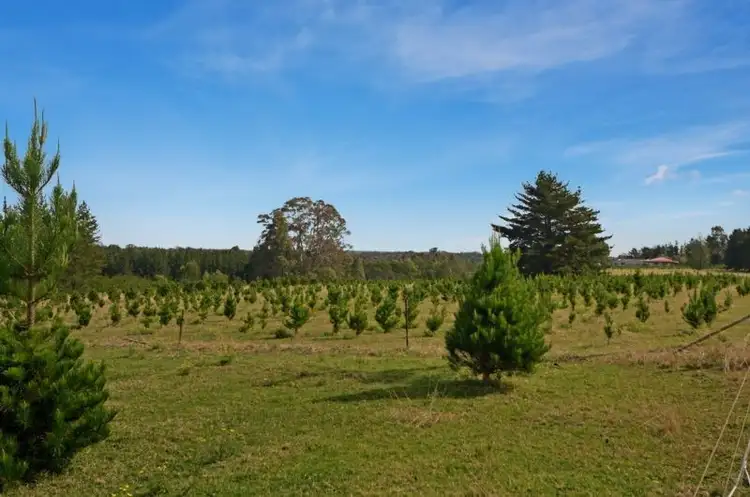 Sixth view of Homely rural property listing, 751 Parma Road, Parma NSW 2540