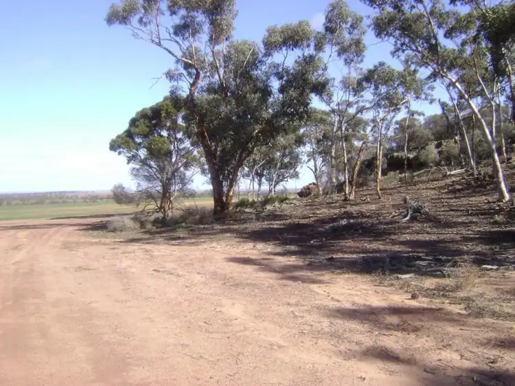 LOT 15396 Caridi Road, Nungarin WA 6490