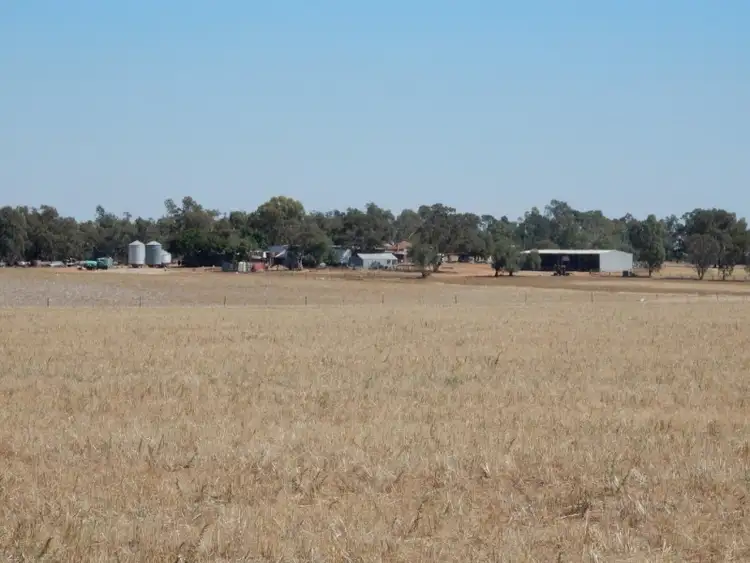 Fifth view of Homely rural property listing, 82 East Millwood Road, Wagga Wagga NSW 2650
