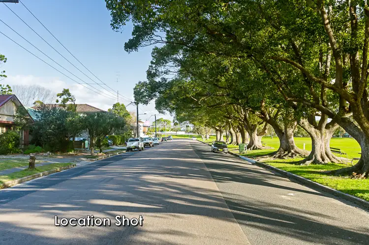 17 Thorn Road, Hamilton North NSW 2292