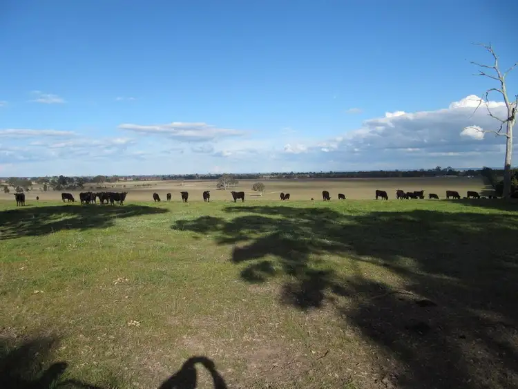 Fifth view of Homely land listing, 859 Stratford-Bengworden Road, Perry Bridge VIC 3862