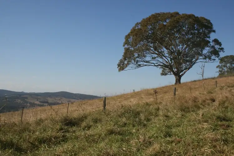 Fourth view of Homely rural property listing, 525 Germons Road, Dungog NSW 2420