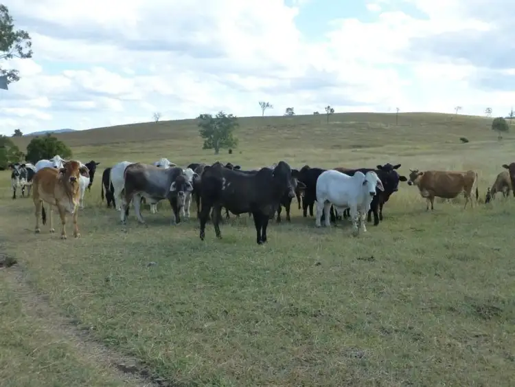 Sixth view of Homely rural property listing, Address available on request