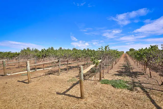 Third view of Homely rural property listing, Lots 1 & 2 Sculthorpe Road (south), Nangiloc VIC 3494
