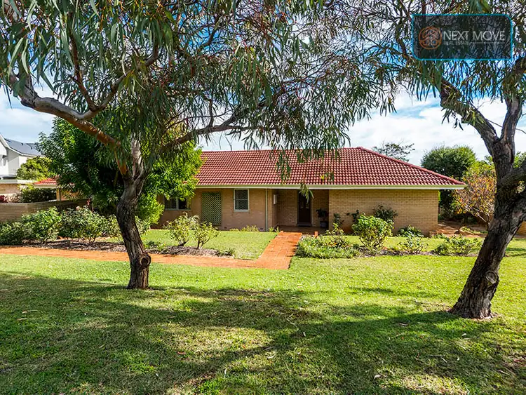 Main view of Homely house listing, 141 Blackwood Ave, Hamilton Hill WA 6163