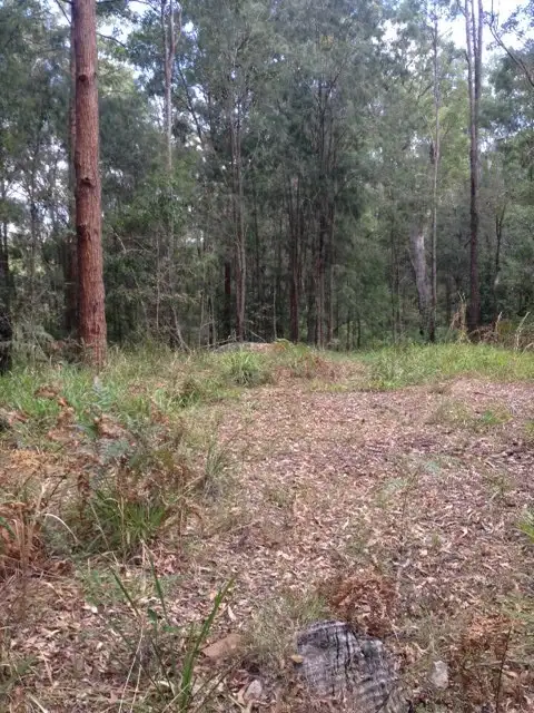 Main view of Homely land listing, 970 Kungala Rd, Lanitza NSW 2460