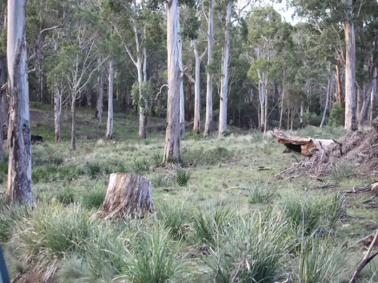 Second view of Homely land listing, 1907 East Tamar Highway, Dilston TAS 7252