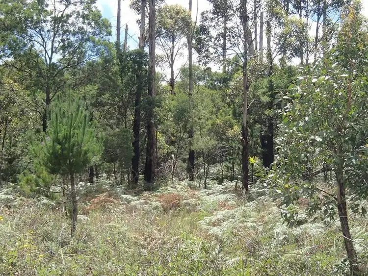 Sixth view of Homely land listing, LOT 175 South Drive, Stanthorpe QLD 4380