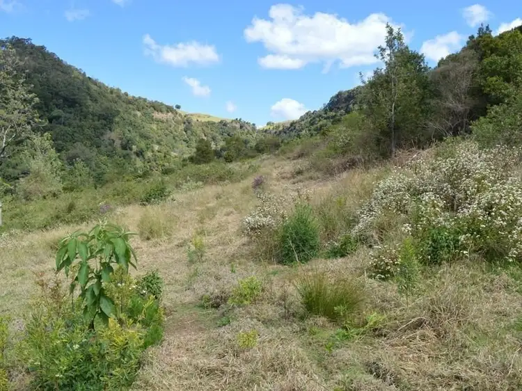 LOT 23 Flying Fox Road, Flying Fox QLD 4275