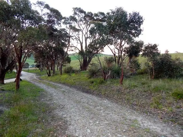 Third view of Homely rural property listing, Pcs 15, 16 Bedlam Flat Road, Delamere SA 5204