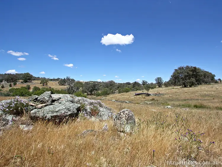 Sixth view of Homely rural property listing, 150 Gelston Heights Road, Gelston Park NSW 2650