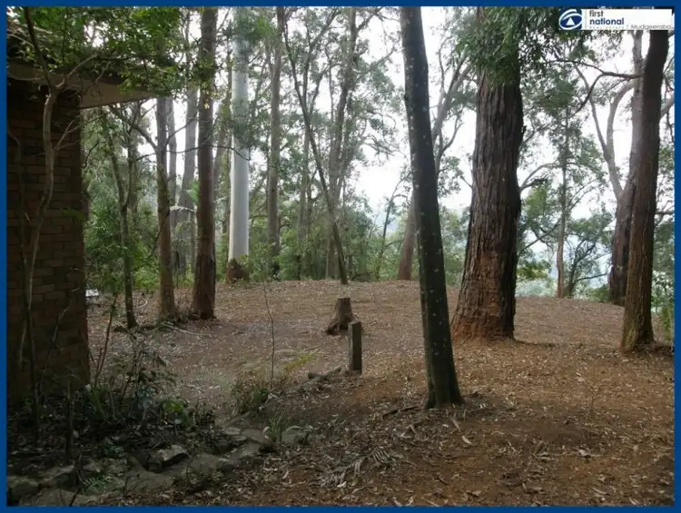 Second view of Homely house listing, 13 Mimosa Road, Springbrook QLD 4213