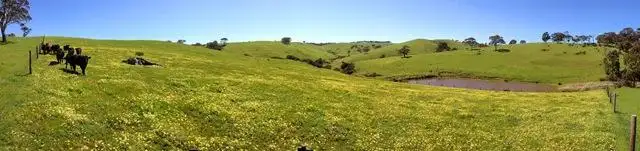 Fourth view of Homely rural property listing, Lot 2 Stockwell Rd, Yankalilla SA 5203