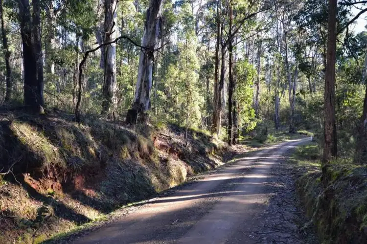 Sixth view of Homely rural property listing, LOT 9/10 Cambatong Road, Tolmie VIC 3723