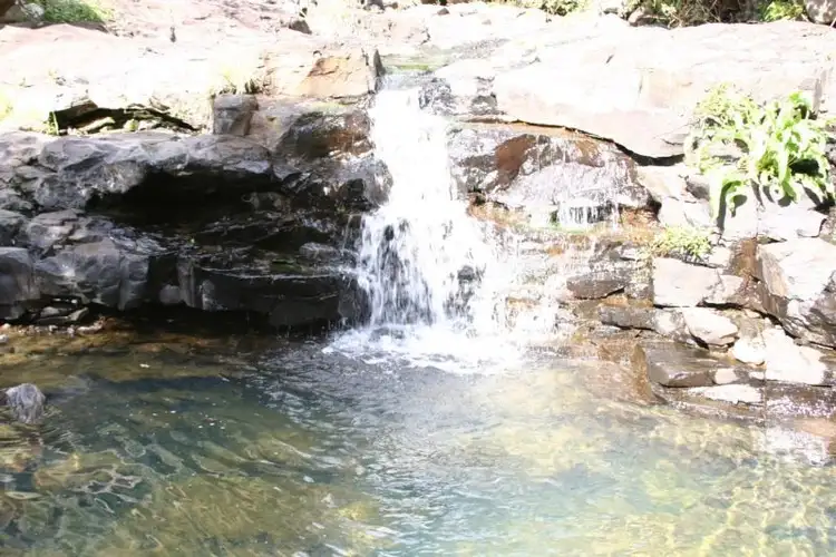 Sixth view of Homely rural property listing, LOT 23 Flying Fox Road, Flying Fox QLD 4275