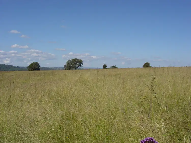 Fourth view of Homely land listing, 280 Montpelier Drive, The Oaks NSW 2570