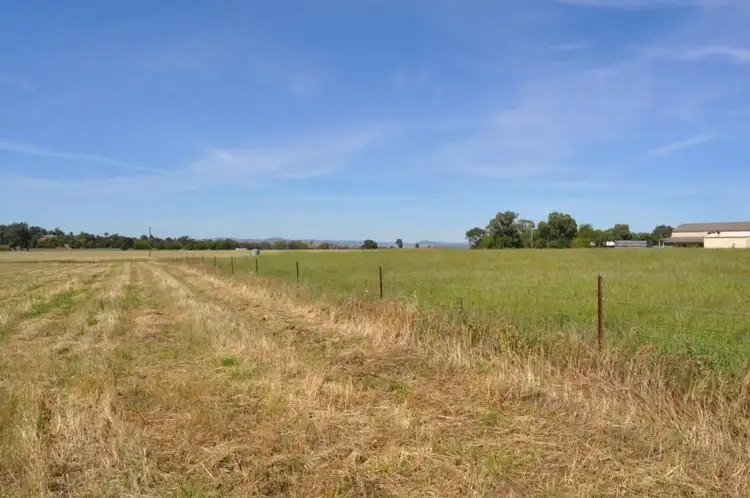 Second view of Homely rural property listing, 154 Black Lead Lane, Gulgong NSW 2852