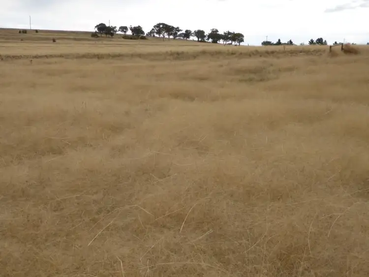 Fourth view of Homely land listing, Lot 6/ 235 Gurrundah Road, Goulburn NSW 2580