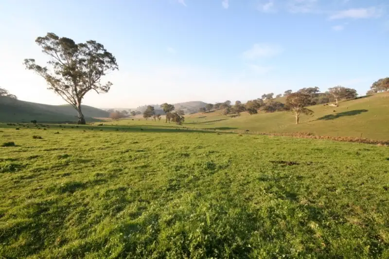 Main view of Homely rural property listing, 4782 Yea Whittlesea Road, Yea VIC 3717