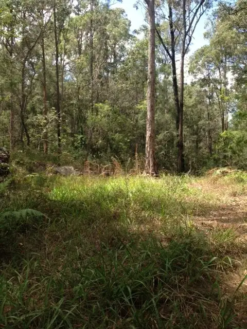Second view of Homely land listing, 970 Kungala Rd, Lanitza NSW 2460