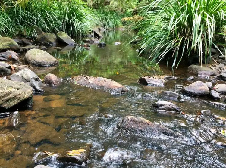 Sixth view of Homely rural property listing, 1157 Stony Chute Road (Share 21 Avalon), Nimbin NSW 2480