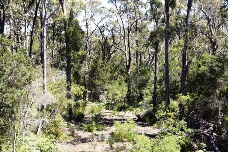 Lot 18 Rubicon Rise Subdivision, Port Sorell Main Road, Port Sorell TAS 7307