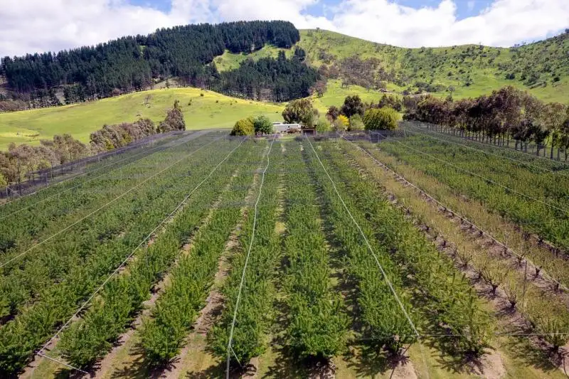 Main view of Homely rural property listing, 86 Moores Road, Flowerdale VIC 3658