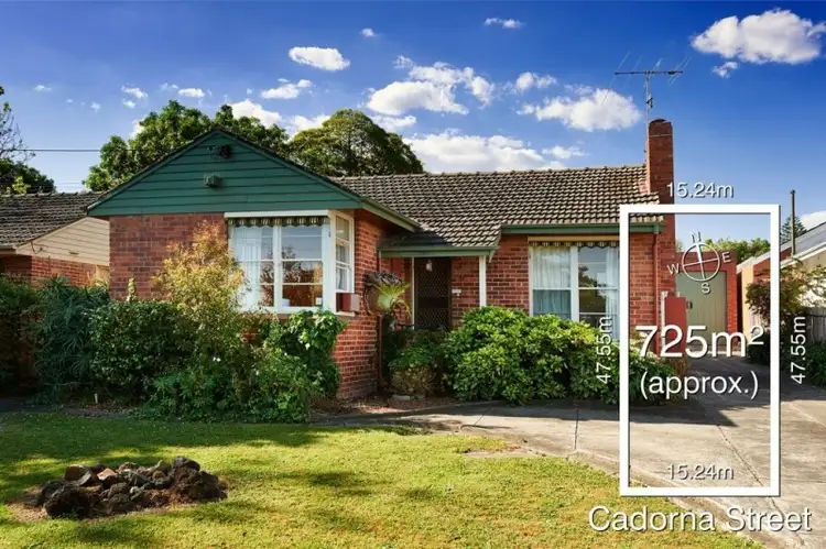 31 Cadorna Street, Box Hill South VIC 3128